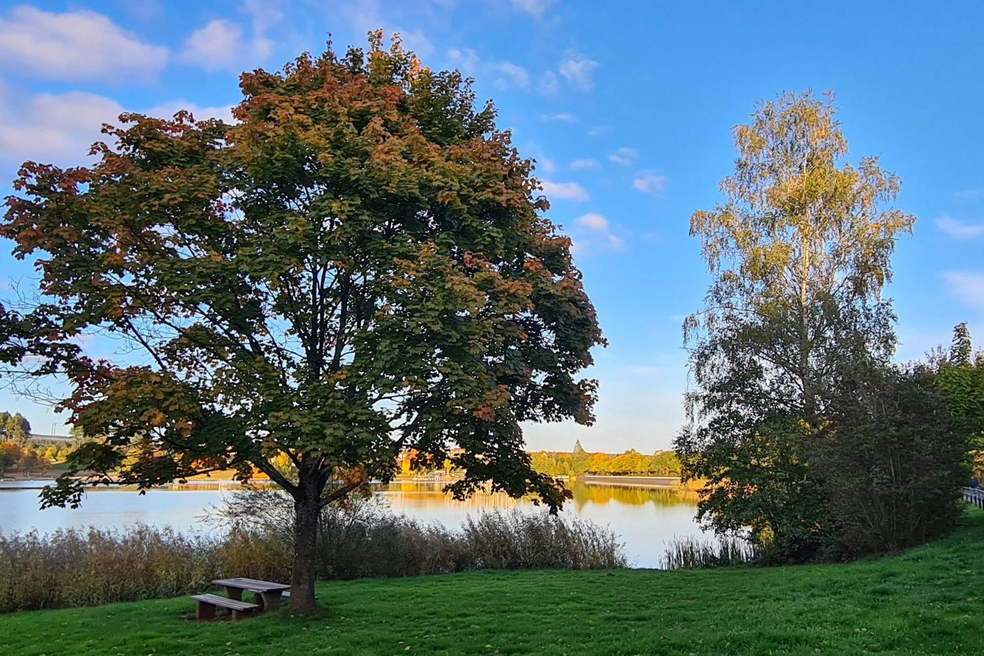 Draussen Am See Losheim Buitenkant foto