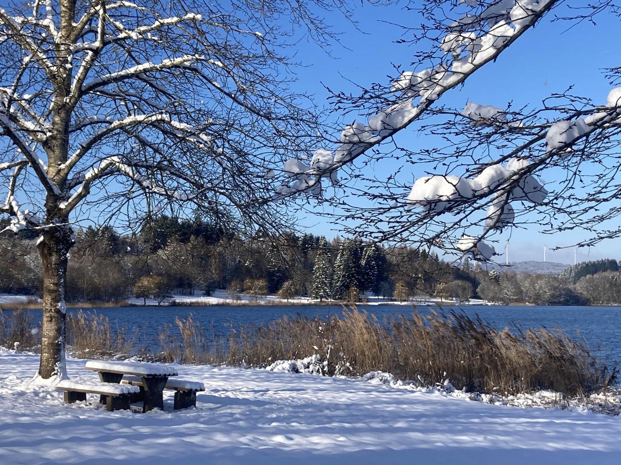 Draussen Am See Losheim Buitenkant foto